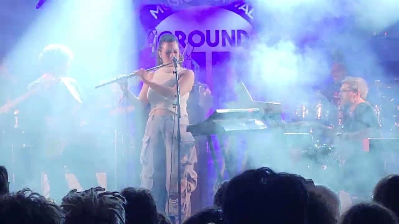 Snarky Puppy 