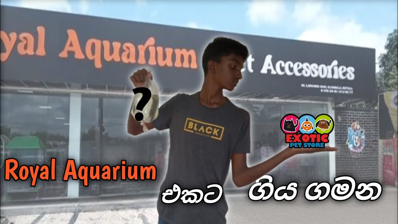 ‍රෝයල් මින්මැදුර සොයා ගිය ගමන|Exploring The Royal Aquarium In Sinhala - Unbelievable Journey!😱