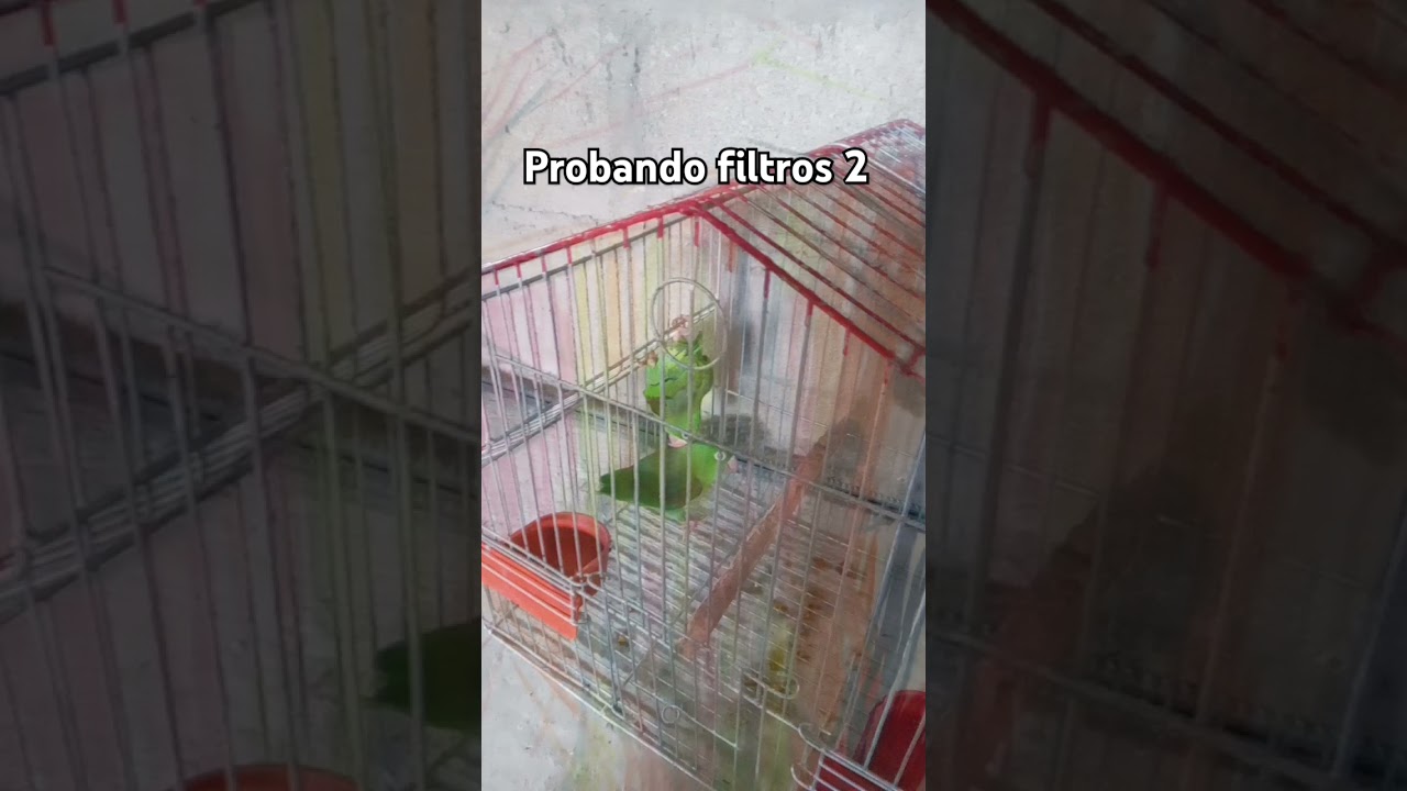 #humor #notadeldia #musichumor #music #xd #temadeldia #musicjokes #mysingingmonsters #elhoy #memes