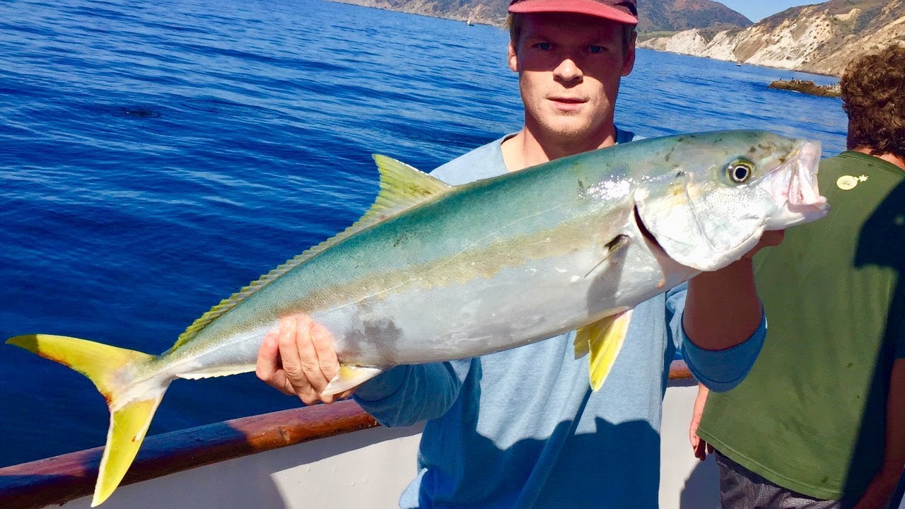 Surface Iron Fishing Aboard the Island Spirit