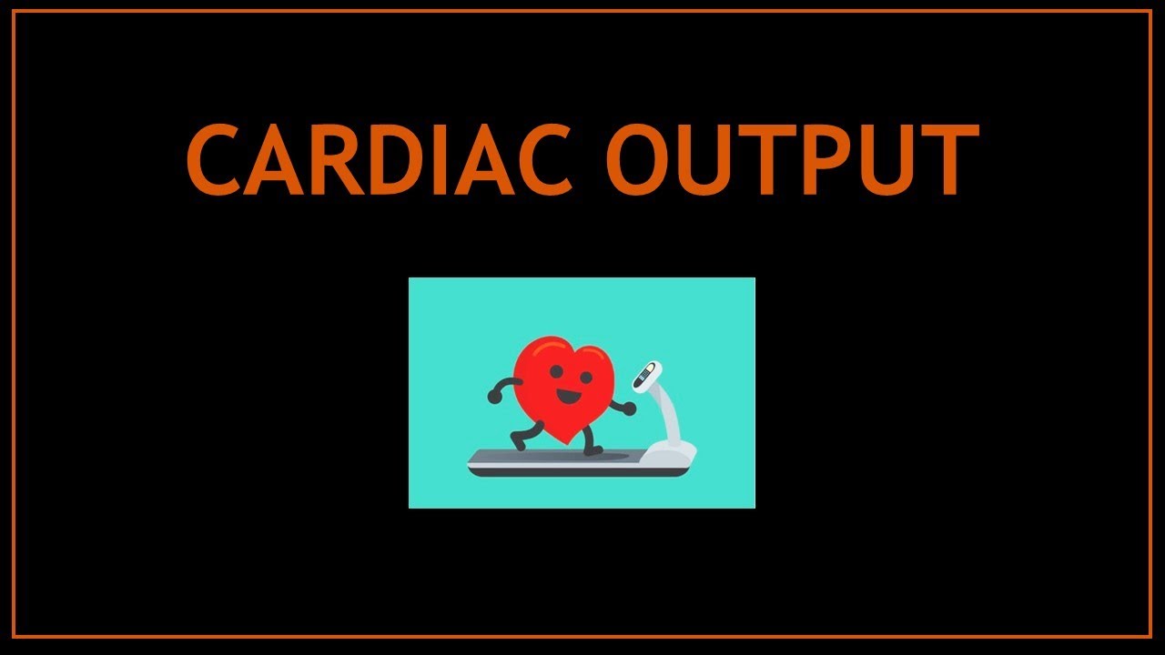 Cardiac Output! (Echocardiography)