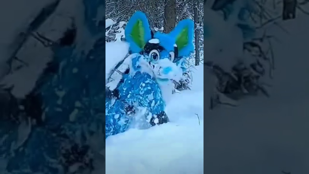 Xusho Wolf Turn into Fox Jump in Snow!