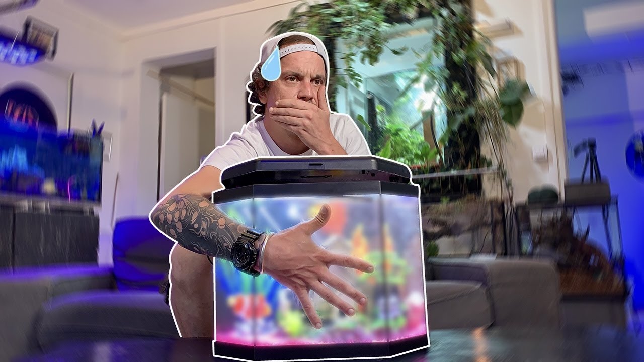 J’AI FAIT LE PIRE AQUARIUM POSSIBLE (DÉSOLÉ 😅) ! - TOOPET