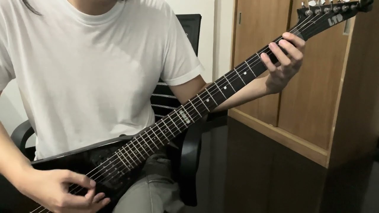 Disgorge(USA) - Womb Full Of Scabs (Guitar Cover)