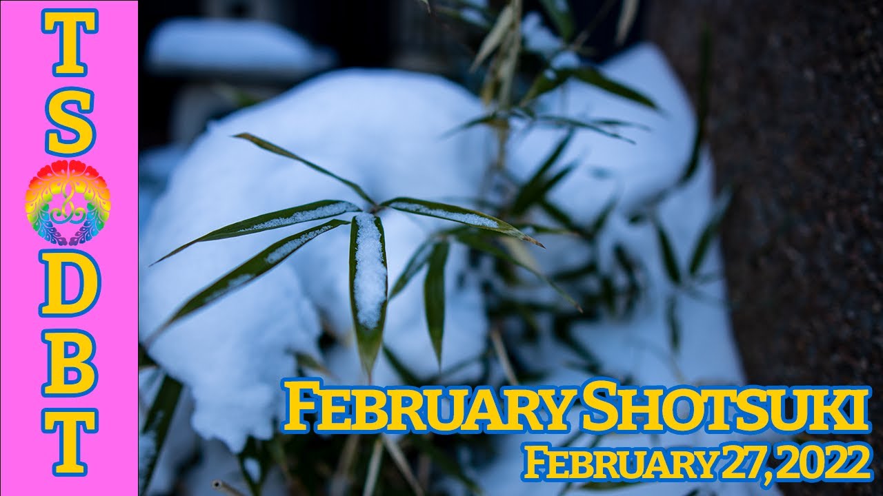 Oneness, War and Jodo Shinshu Buddhism- TS/DBT February Shotsuki Service - February 27, 2022