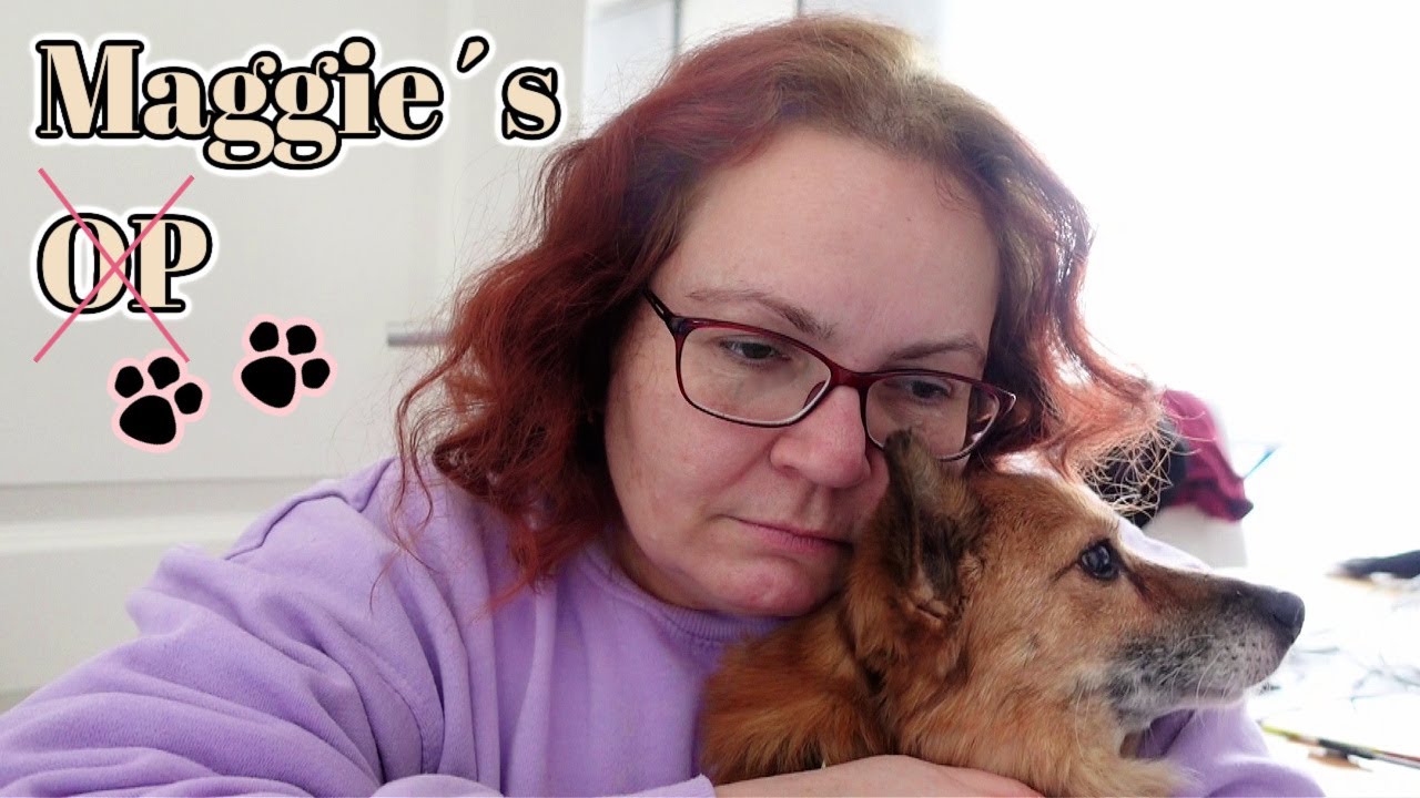 MAGGIE´s OP  -  Hat der Tierarzt uns vergessen? + Shopping bei ALDI