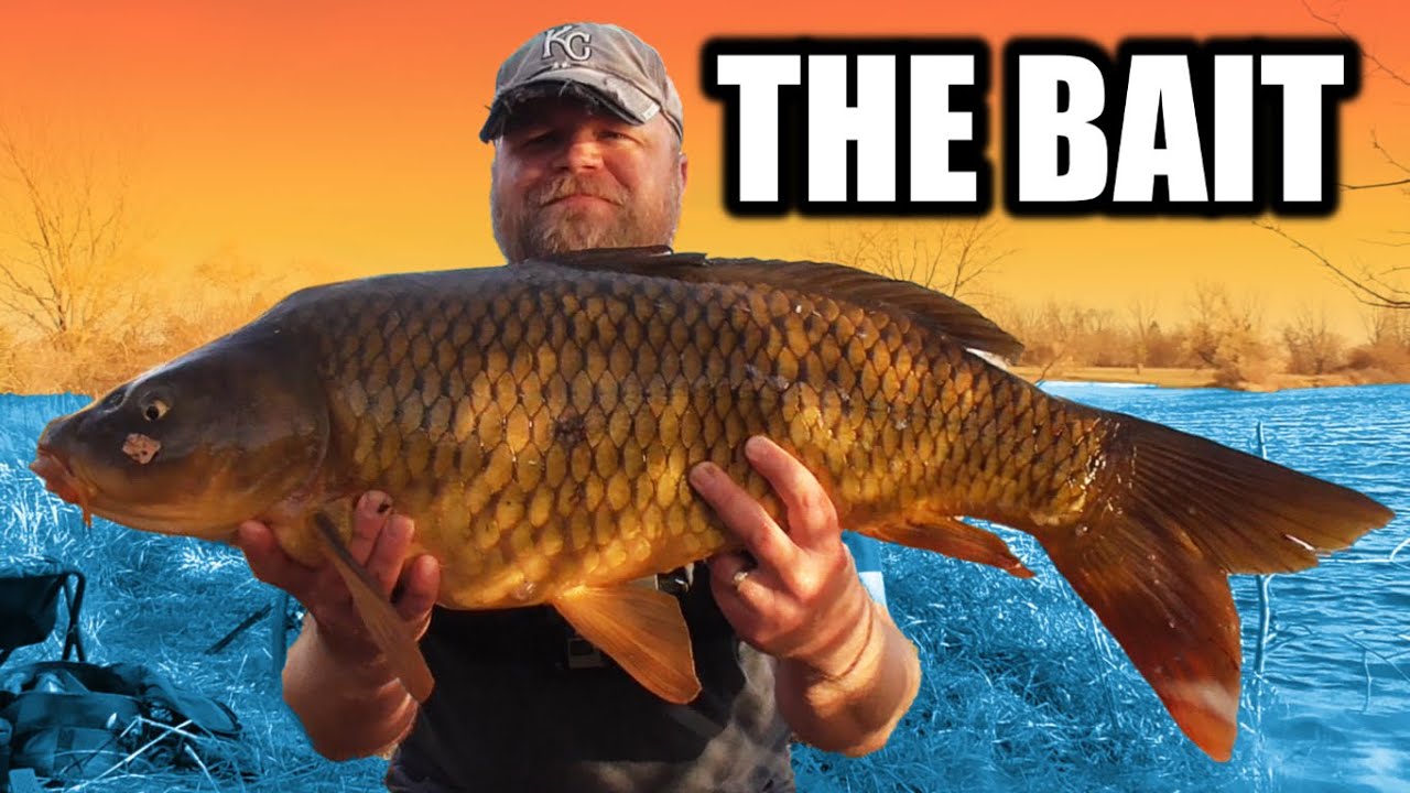 5 Carp Bait Recipes that Catch Fish! - Pack Bait for Carp Fishing