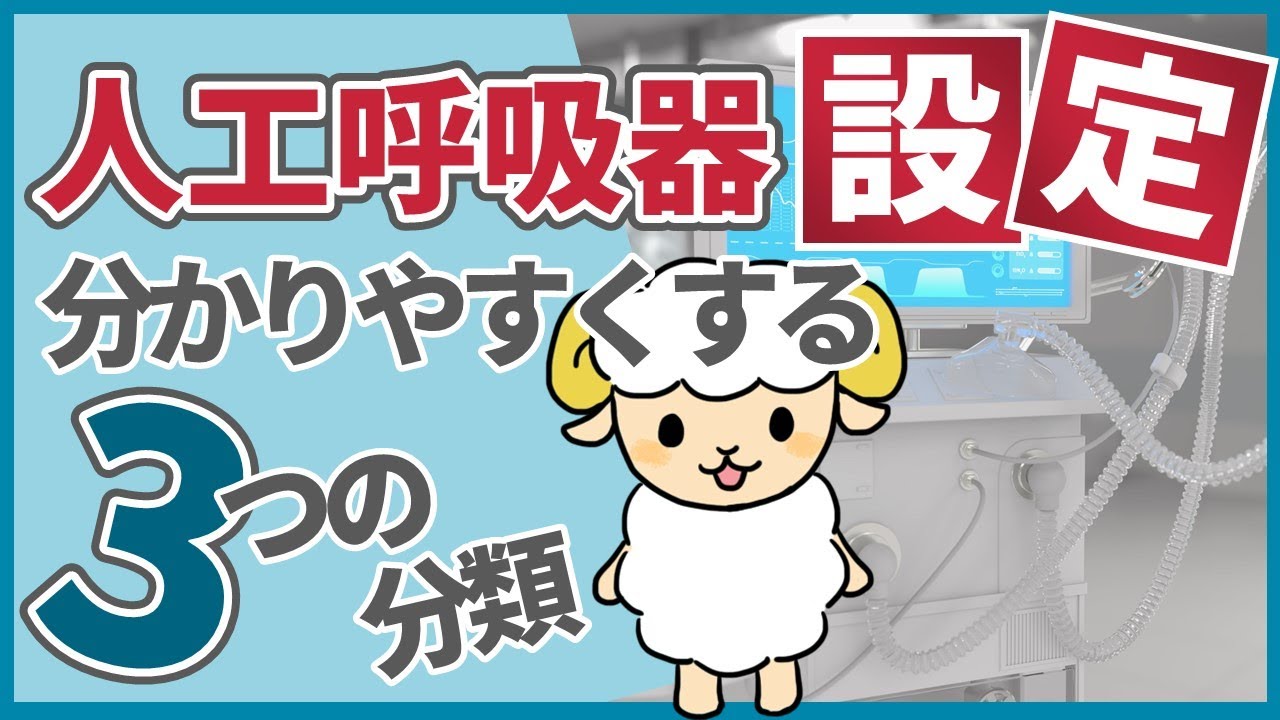 人工呼吸器の設定、3つに分類するとわかりやすいです【1年目看護師】