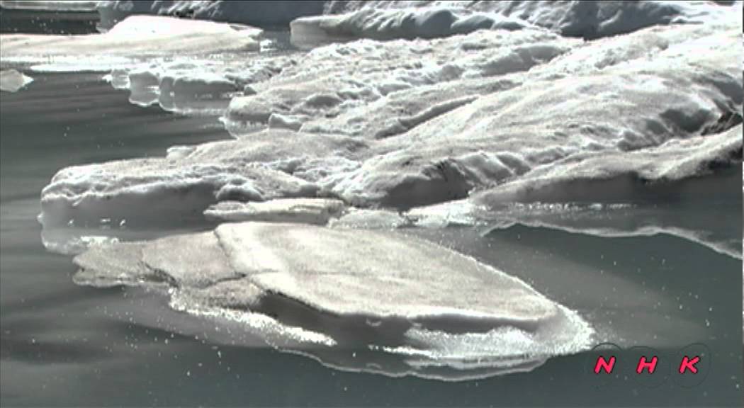 Waterton Glacier International Peace Park (UNESCO/NHK)