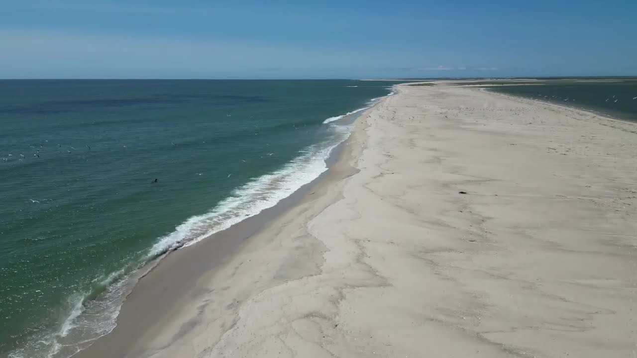 Cape Cod Beaches | Monomoy | 2023 | Monomoy Island Seals | Drone video