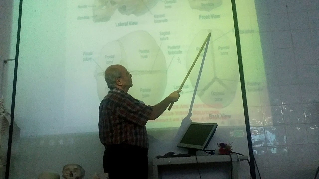 Anatomy of head & neck 2 ( Skull , part 2 , norma verticalis ) , by Dr. Wahdan