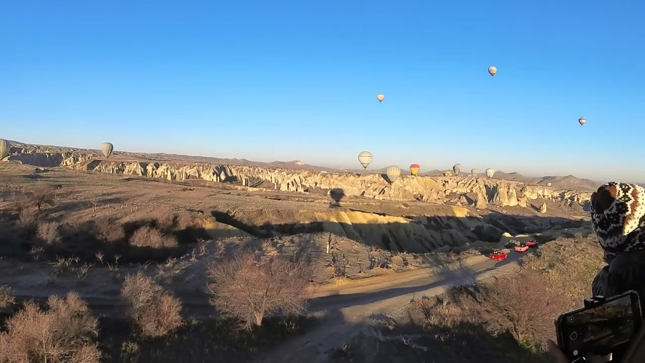 VID 20260221 115247 10 314