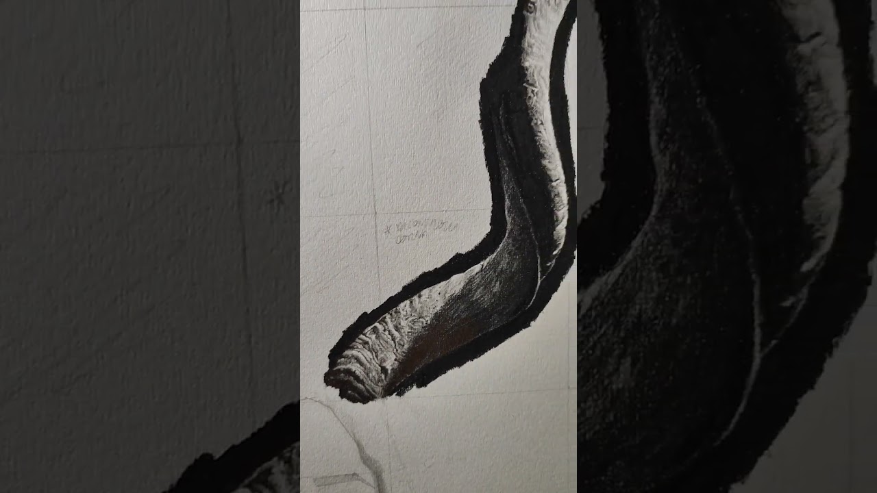 #hyperrealism#iperrealismo#artist#disegno#realism#art#drawing#realismo#artista#good#instaart#tiktok