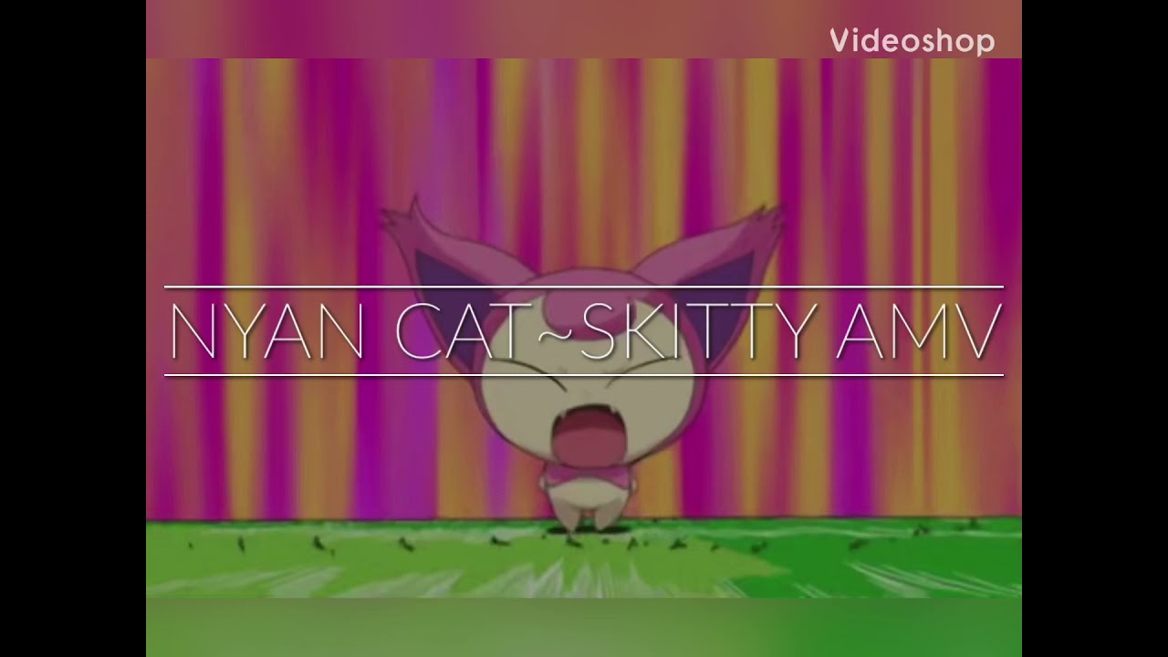 Nyan Cat ~Skitty AMV~