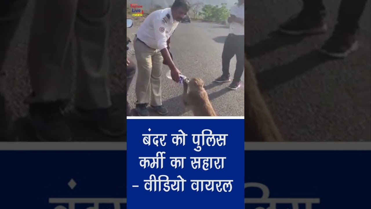 बंदर को पुलिसकर्मी का सहारा, video viral ||  NationLiveIPTV
