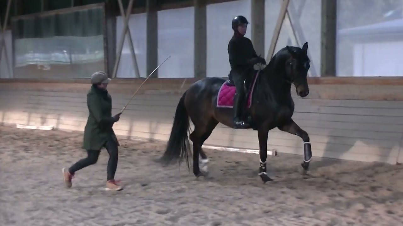 March 7 2024 Lesson with Courtenay Fraser - 2