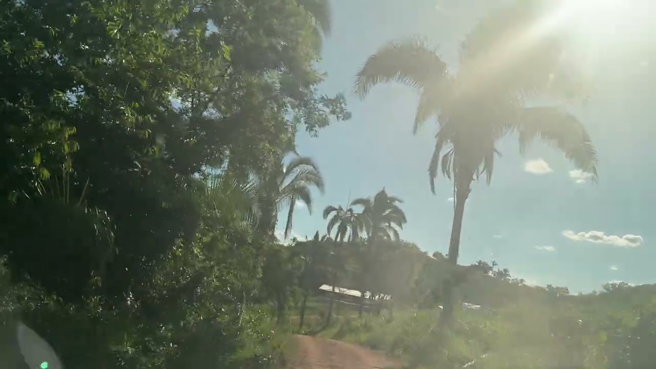 Chegada ao Parnatins: estrada verde, capim alto e muito trabalho pela frente!