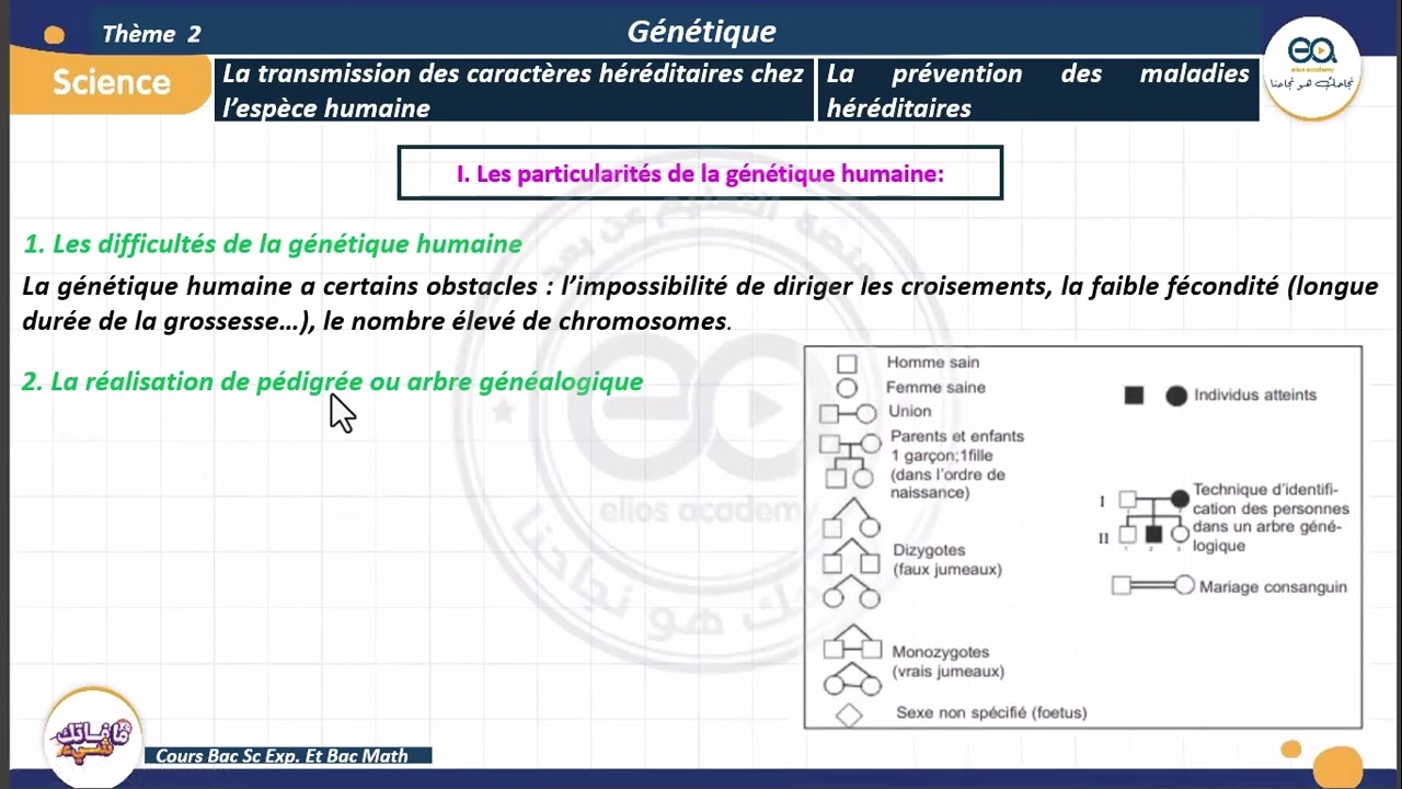01_Génétique humaine : Particularités de la génétique humaine