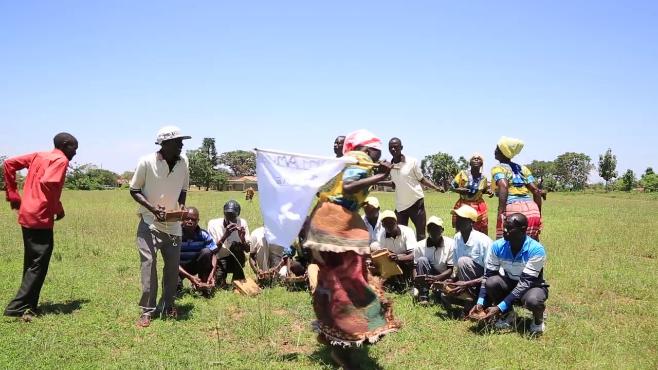 Appeal to Support Akogo Groups