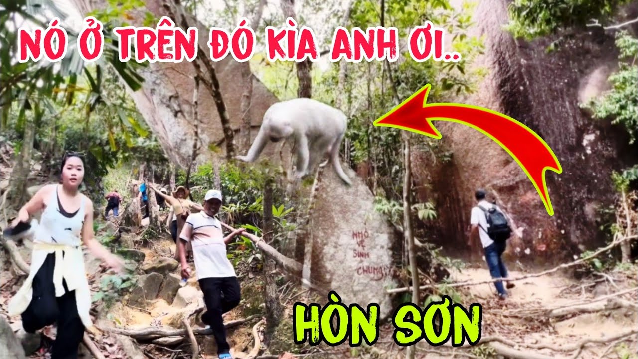 Sự Thật Về Khỉ Bạch Trên Hòn Sơn – Gặp Gỡ Sinh Vật Huyền Bí Ở Mai Thiên Lãnh!