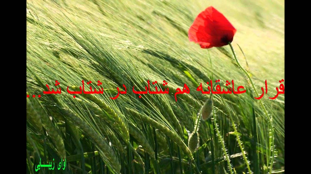 Hayedeh – هایده