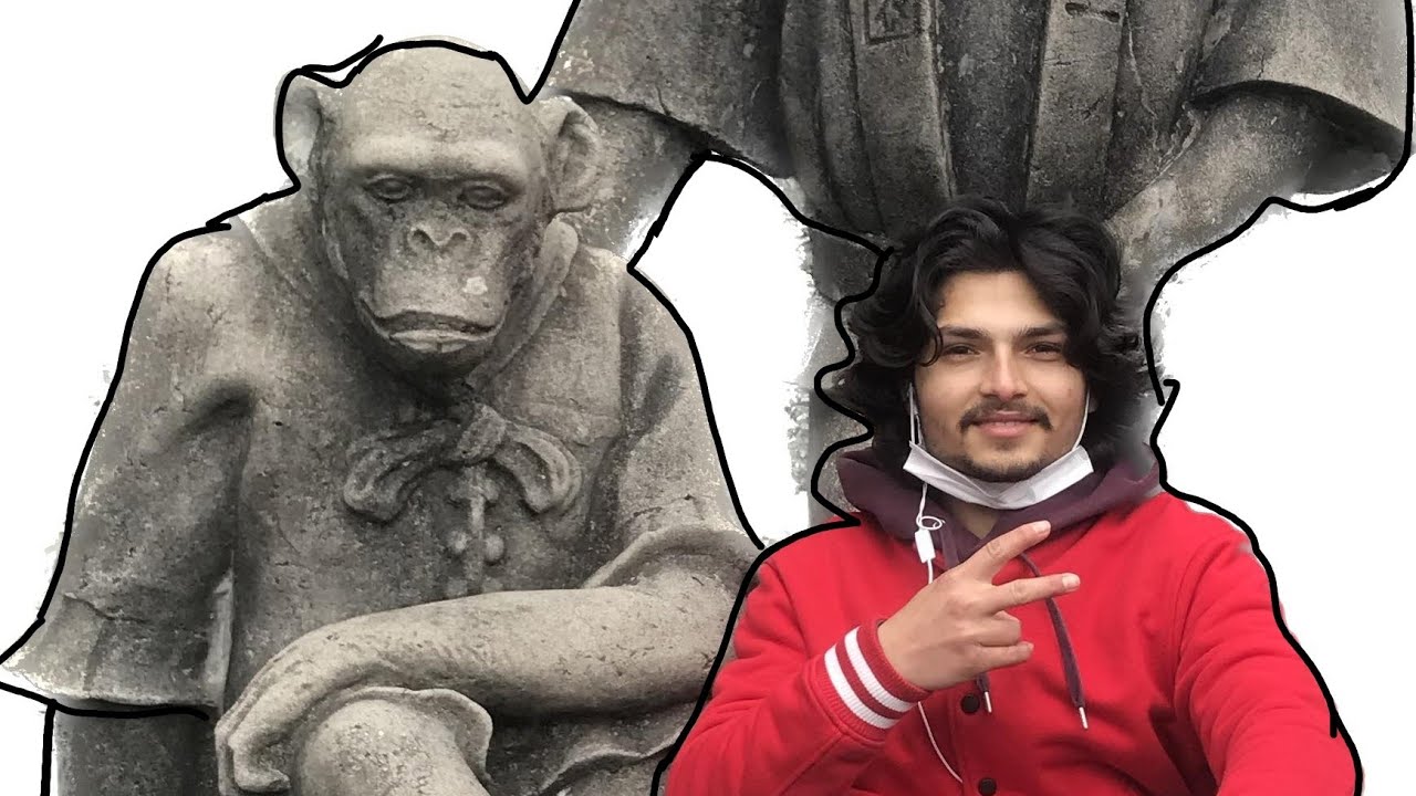 First Time Lion The King Dhekhe// Book Ma Hune Sab wild Animals..