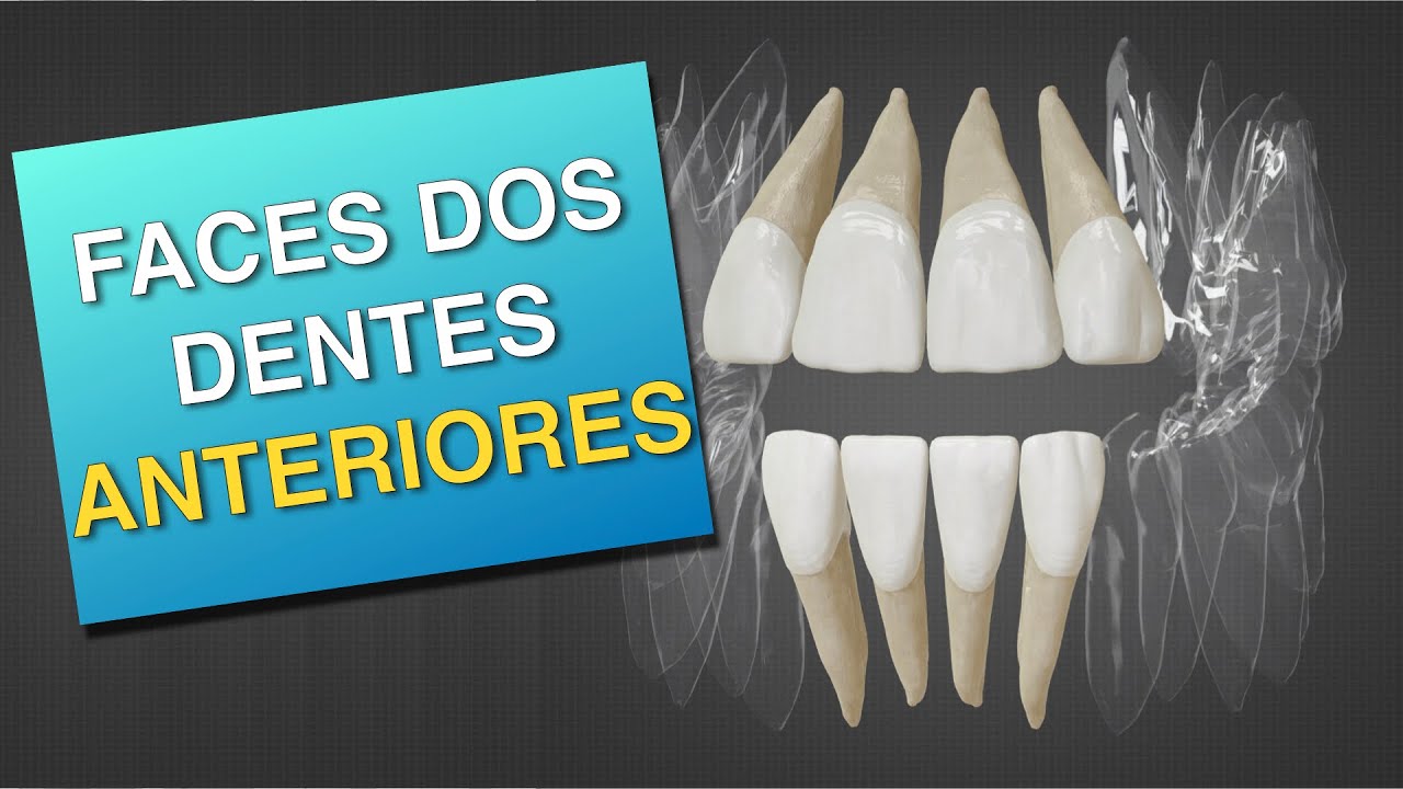 Faces dos Dentes Anteriores