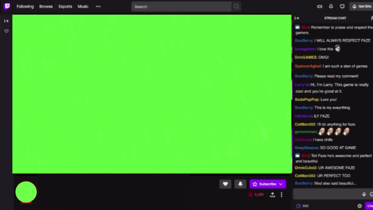 Green screen Twitch stream￼