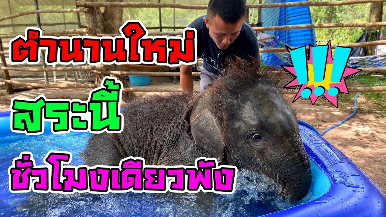 มีนา เด็กหญิงจอมทำลายล้าง  กลิ่นของใหม่ยังไม่ทันจาง เล่นไม่ถึงชั่วโมง สระน้ำ 