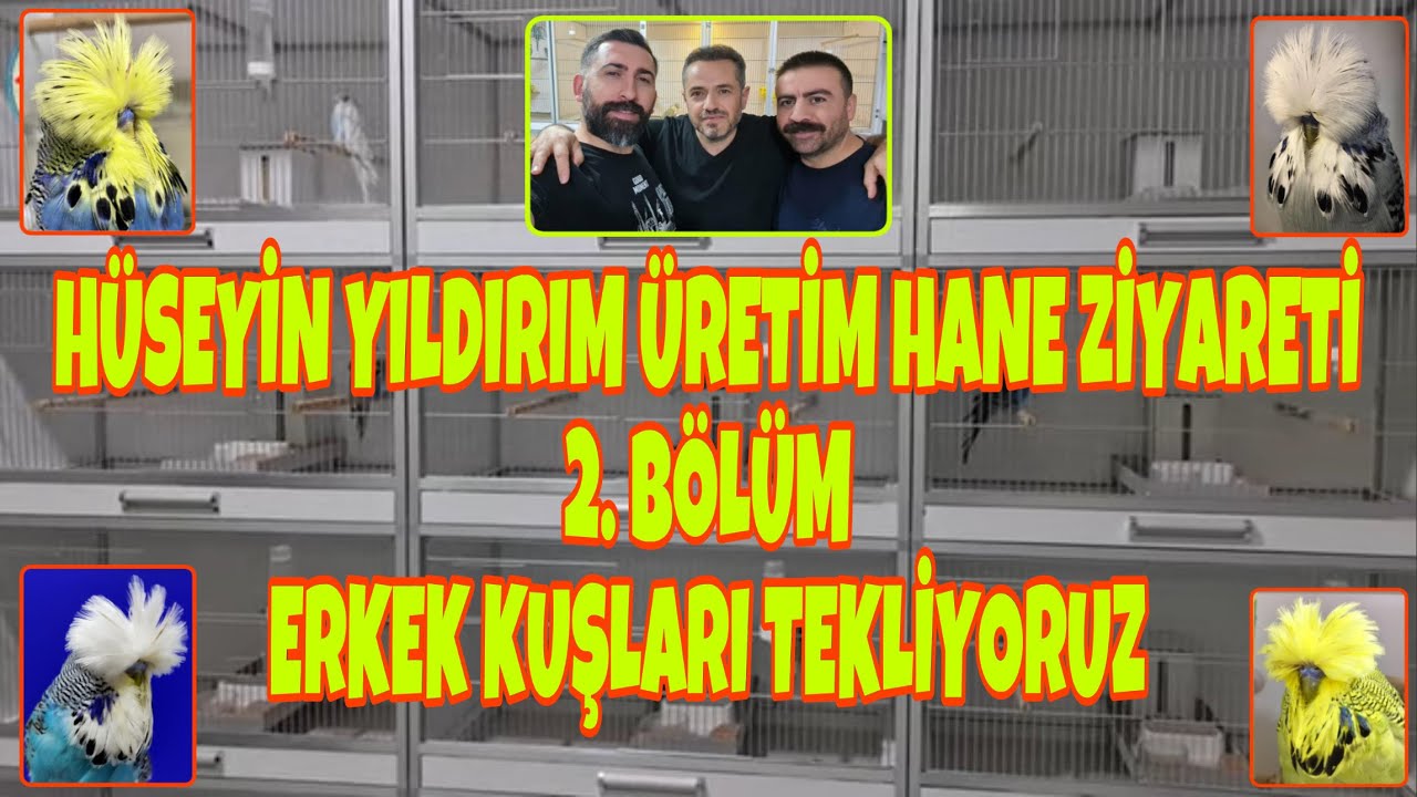 Hüseyin Yıldırım Üretim Hane Ziyareti 2.Bölüm (Erkek Kuşları Tekliyoruz)