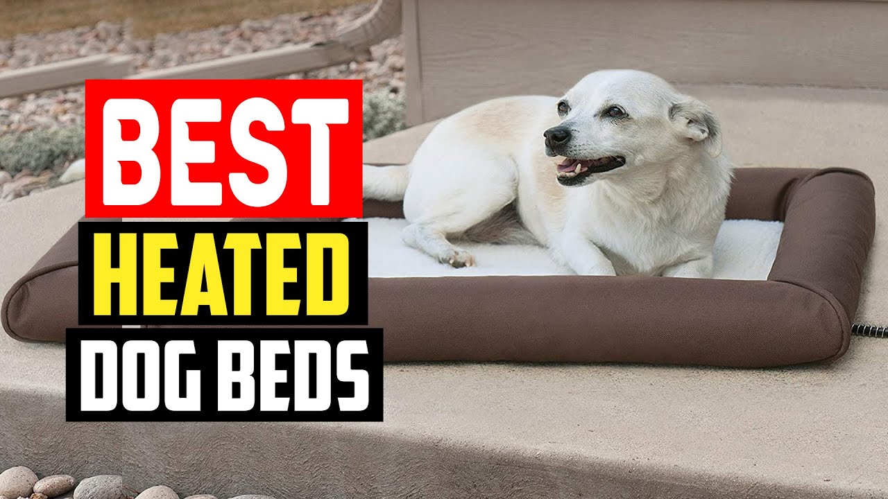 ✅Top 5 Best Heated Dog Beds in 2025