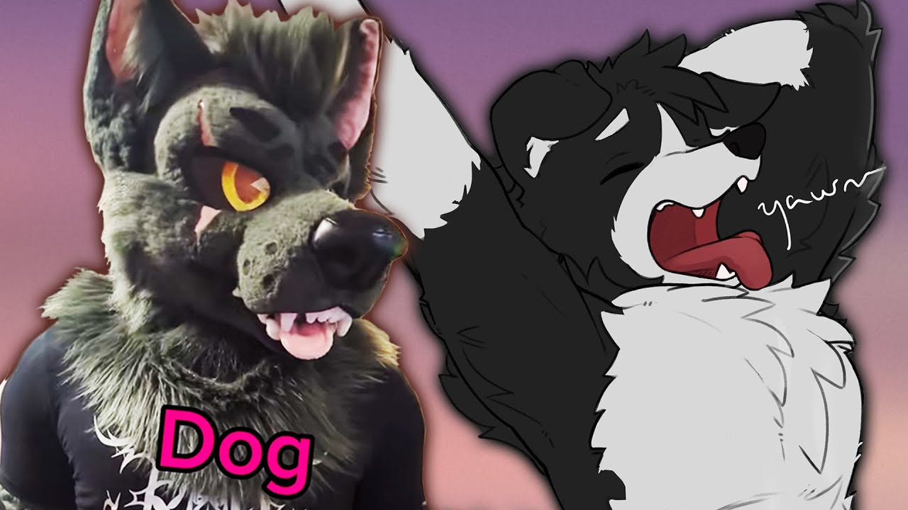 Furry Tiktoks that'll clean up your mess