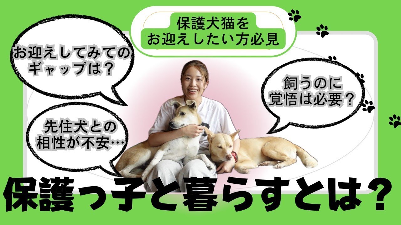 【必見！】保護犬・保護猫と暮らすってどういうこと？