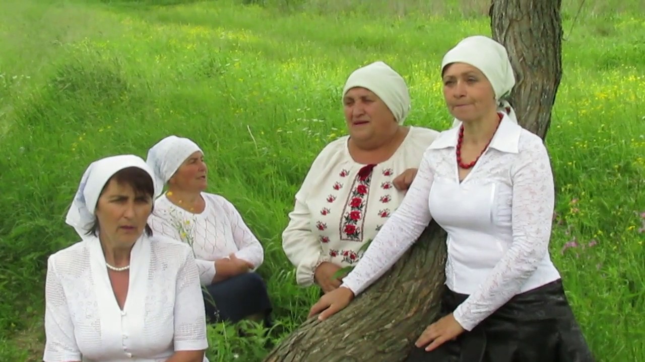 Ой, біда, подруженьки!..