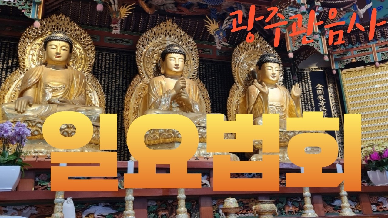 [라이브] 일요볍회 26.3.8