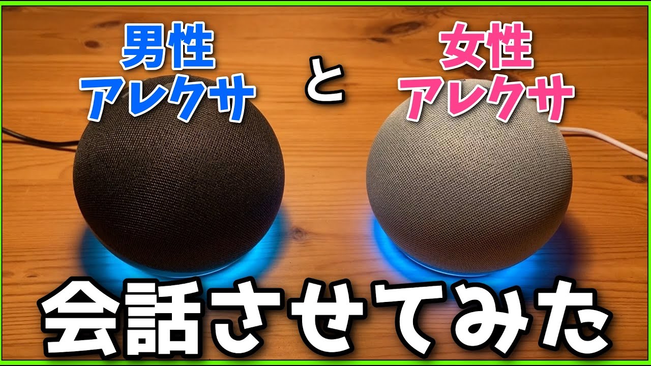 男女アレクサ同士で会話させてみたら、男性側が暴走し始めたwww