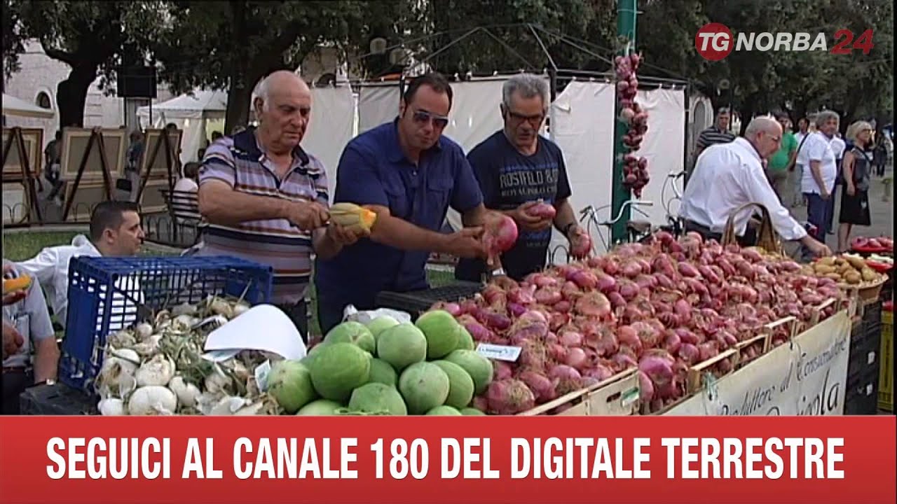 ACQUAVIVA DELLE FONTI  SAGRA CIPOLLA ROSSA