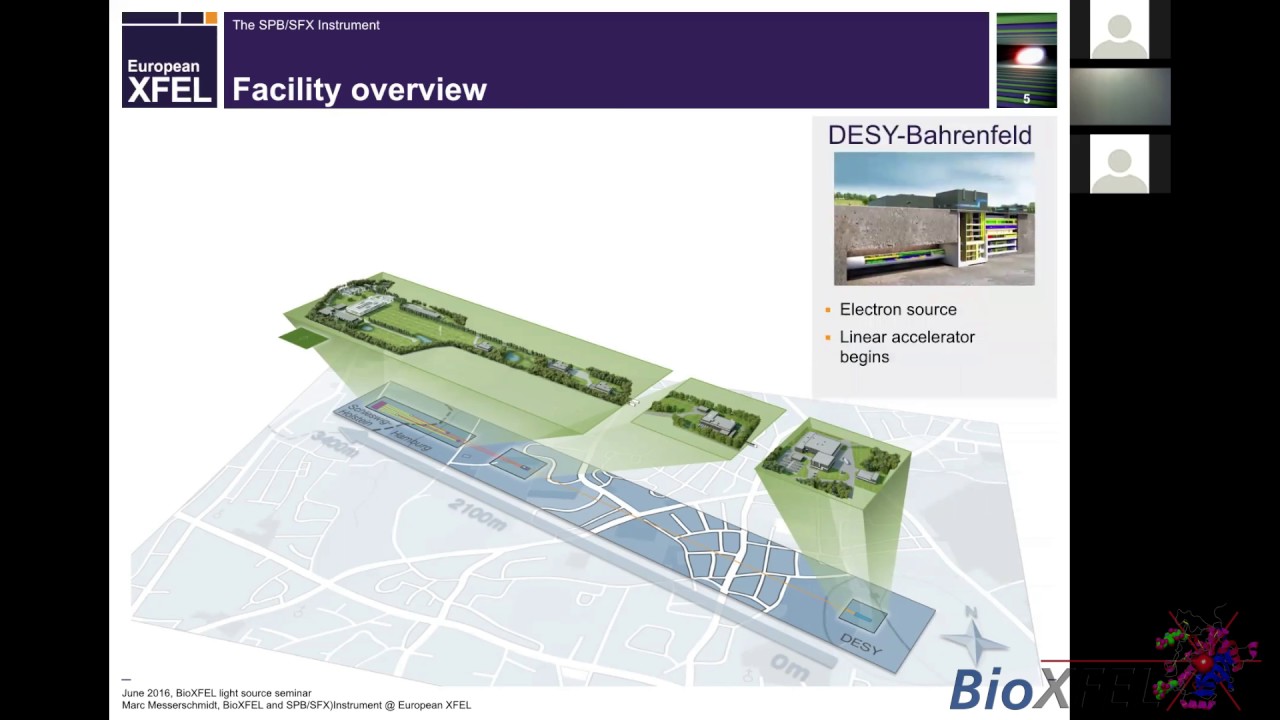 DESY, European XFEL Lightsource