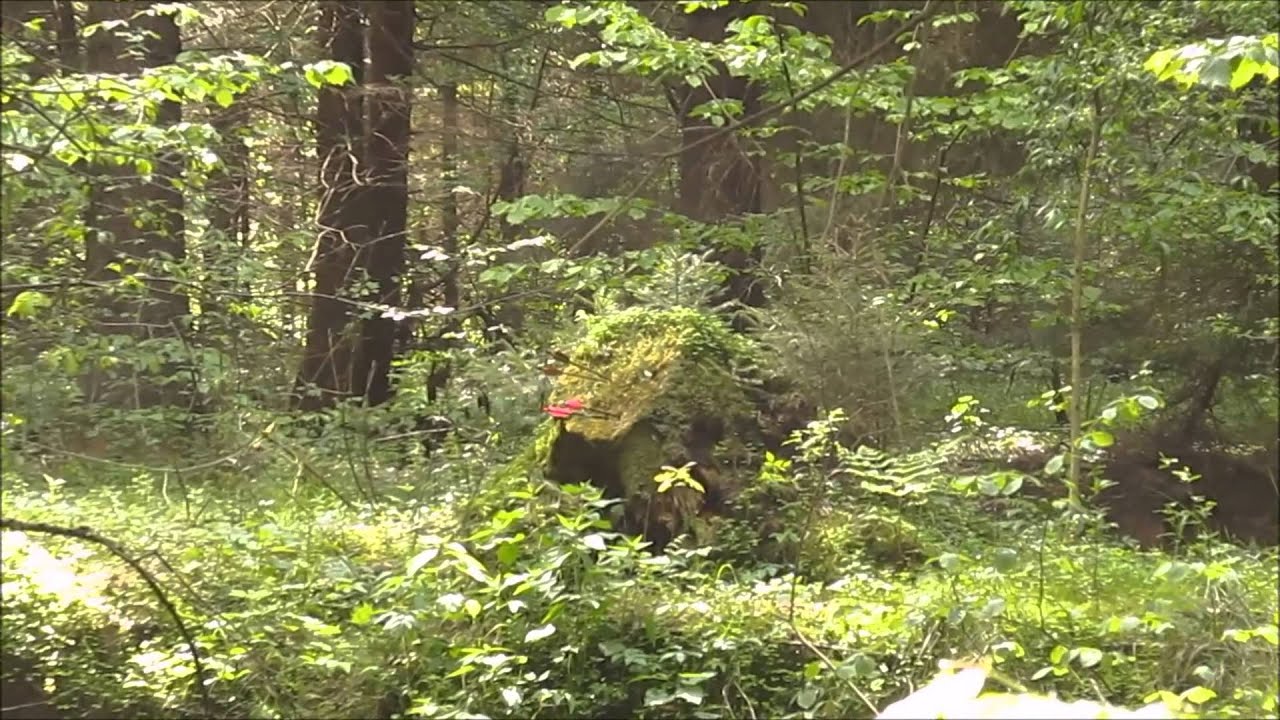 Stump shooting in Borsukowka Poland