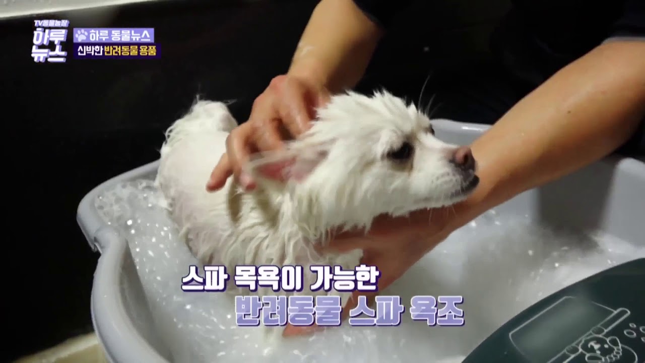 # 몽스파 (Mong SPA) 프랜차이즈 가맹점 모집