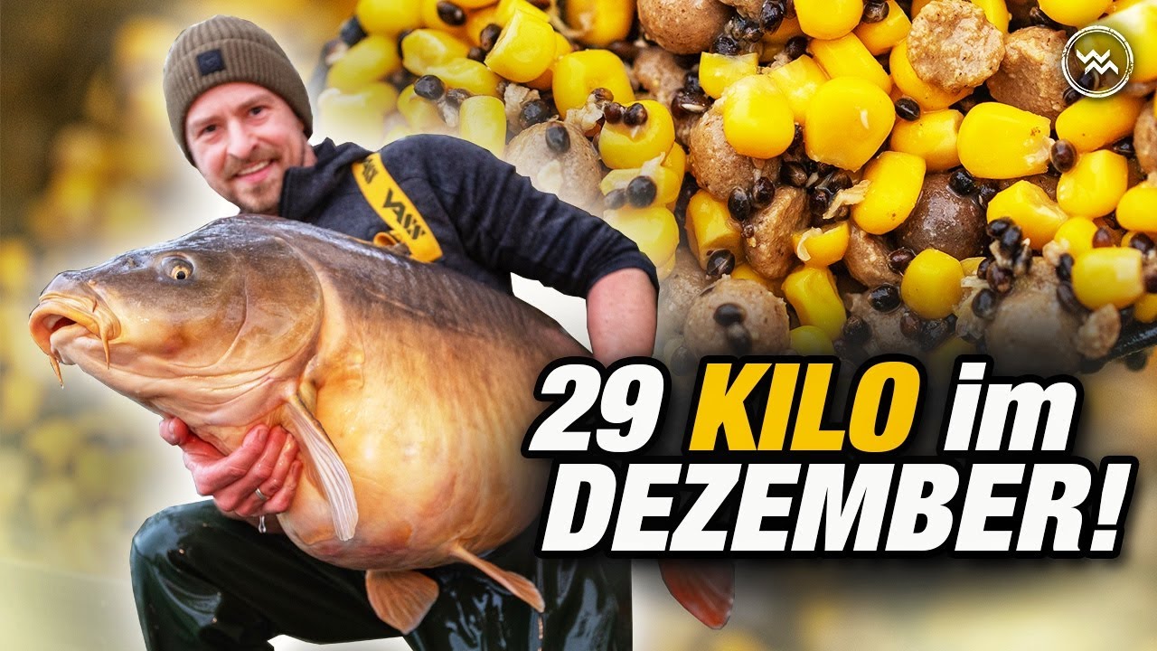 Karpfenangeln im Winter 🌽 auf Monsterfische mit Dosenmais