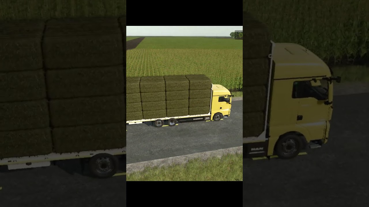 Transport Bale 
