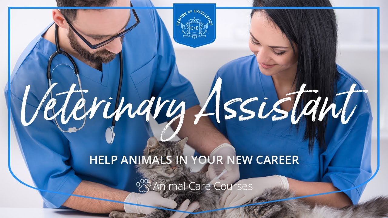 Veterinary Assistant Diploma Course | Centre of Excellence | Transformative Education & eLearning