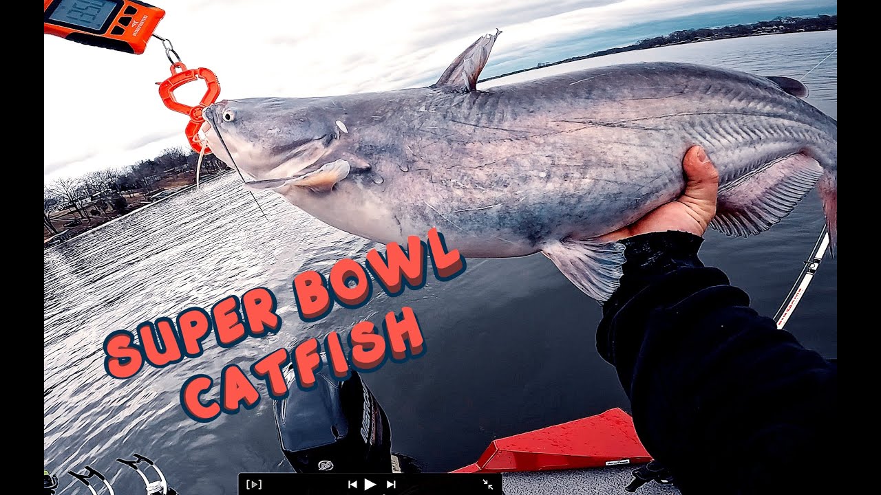 CHASING CATFISH on Super Bowl Sunday!