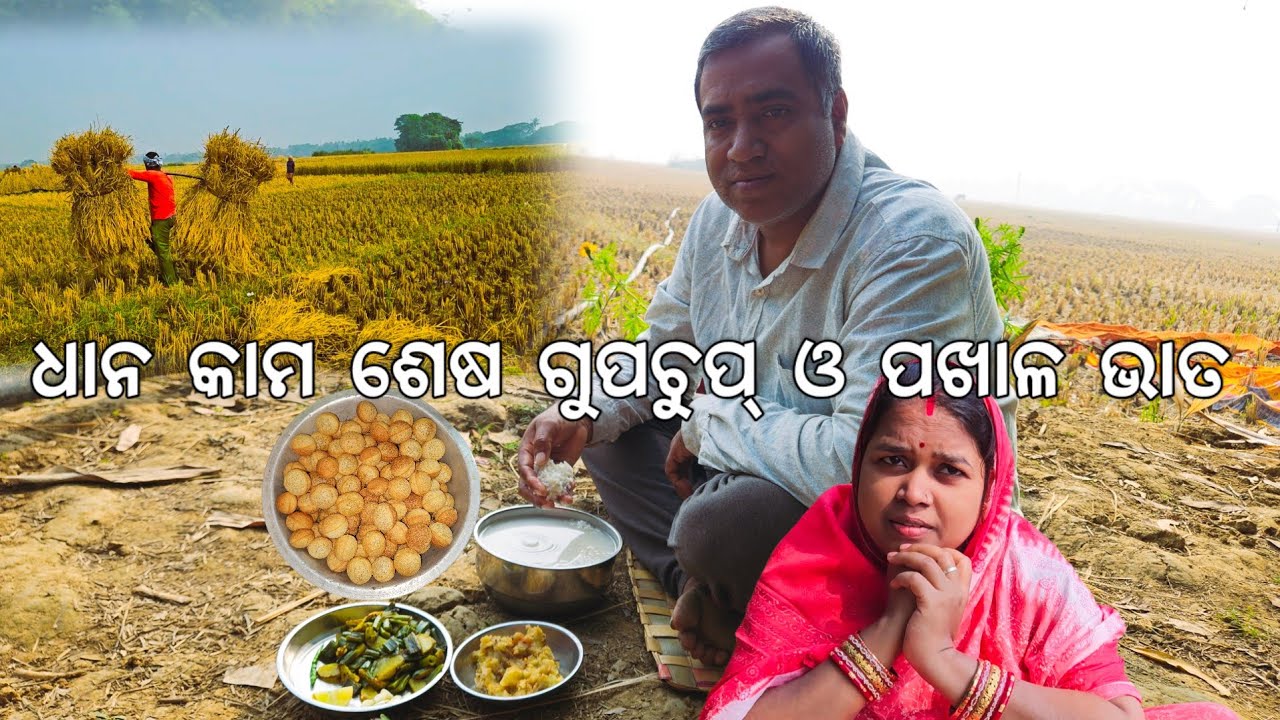 ଧାନ କାମ ଶେଷ ଗୁପଚୁପ୍ ଓ ପଖାଳ ଭାତ 😋। Odisha village life & Pakhala 