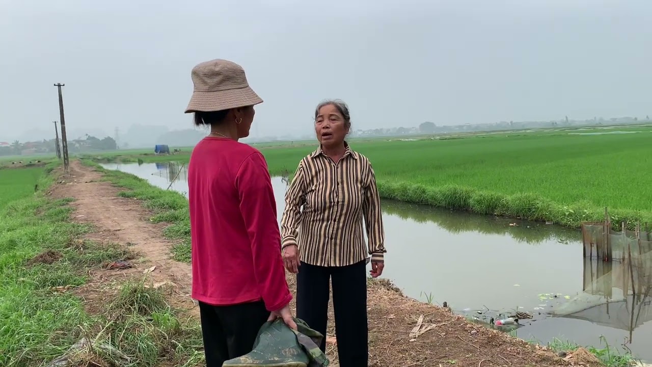 Bà quế thật quá đáng bao nhiêu công sức của vợ chồng thắng làm mụ ra phá bằng hết 