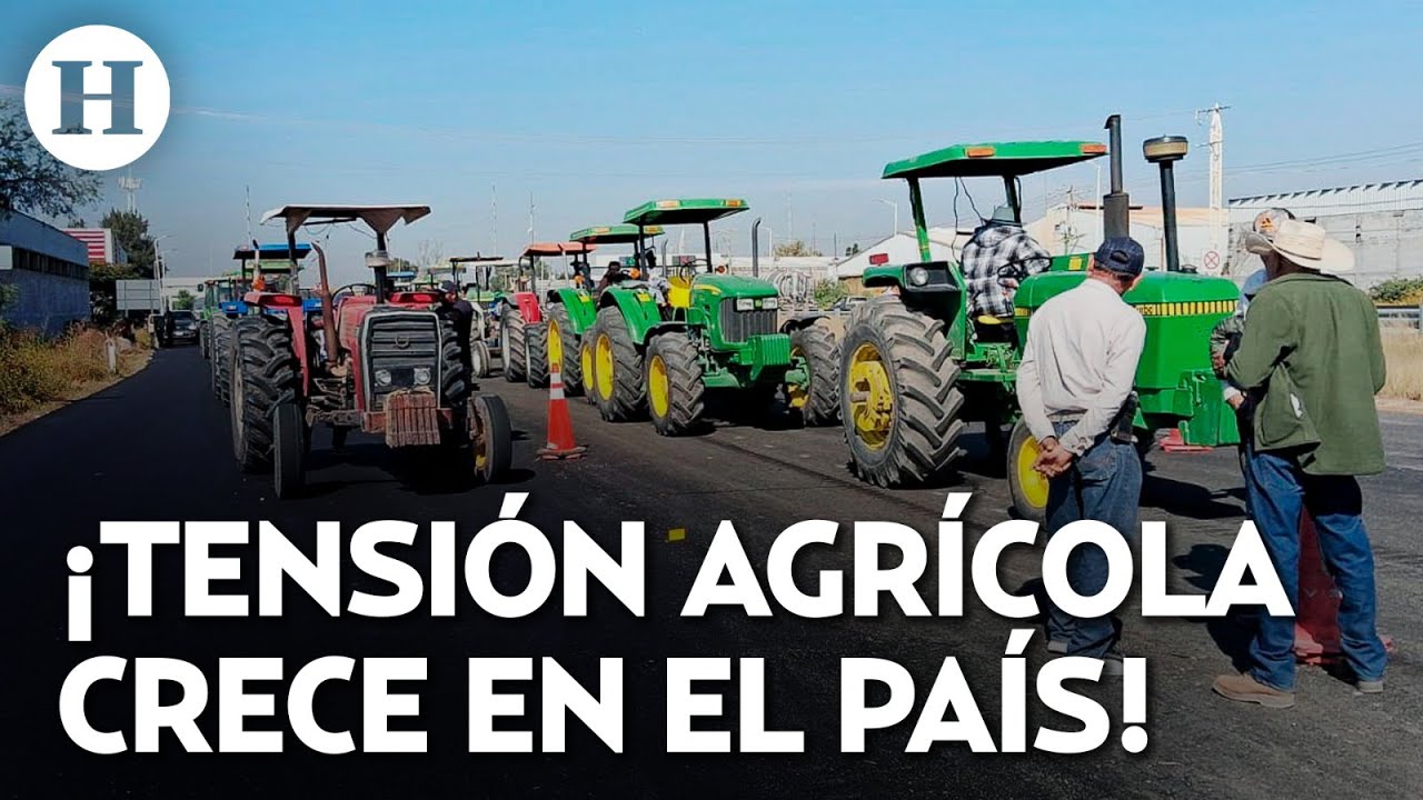 ¡Agricultores desesperados! Exigen apoyo real ante el desplome del precio del maíz