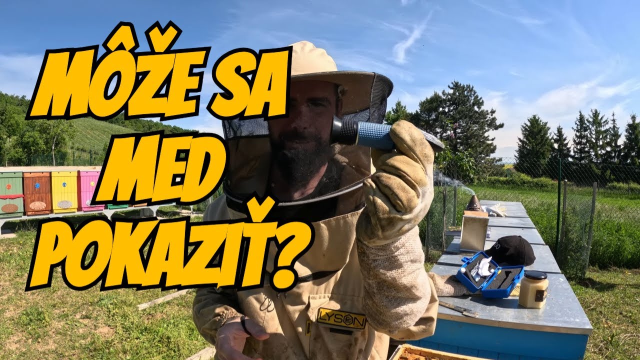 Môže med skvasiť? Áno – a ukážem vám, ako tomu predísť