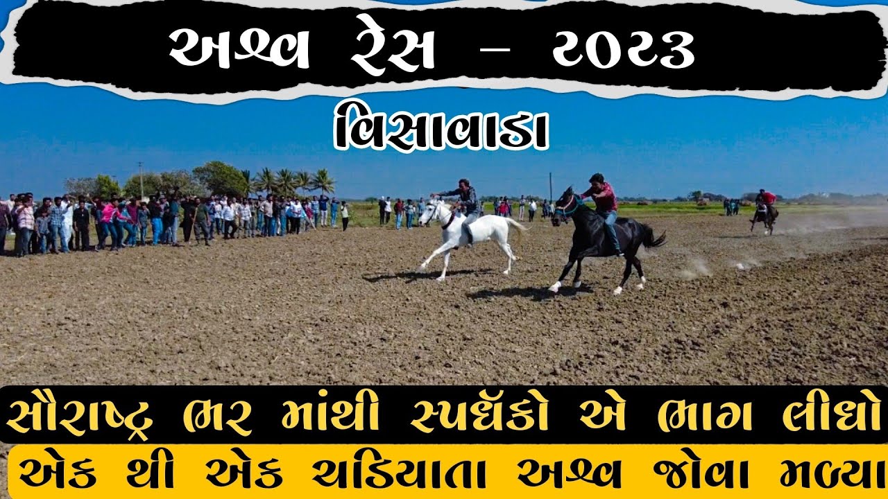 અશ્વ રેસ વિસાવાડા l Nukra Marvadi kathiyavadi  horse race visavada l mela l reval chal Costly horse