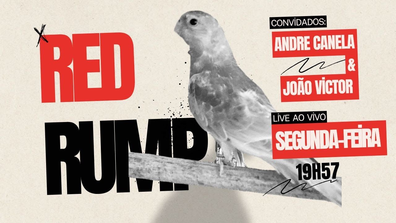 A Volta do Red Rumped